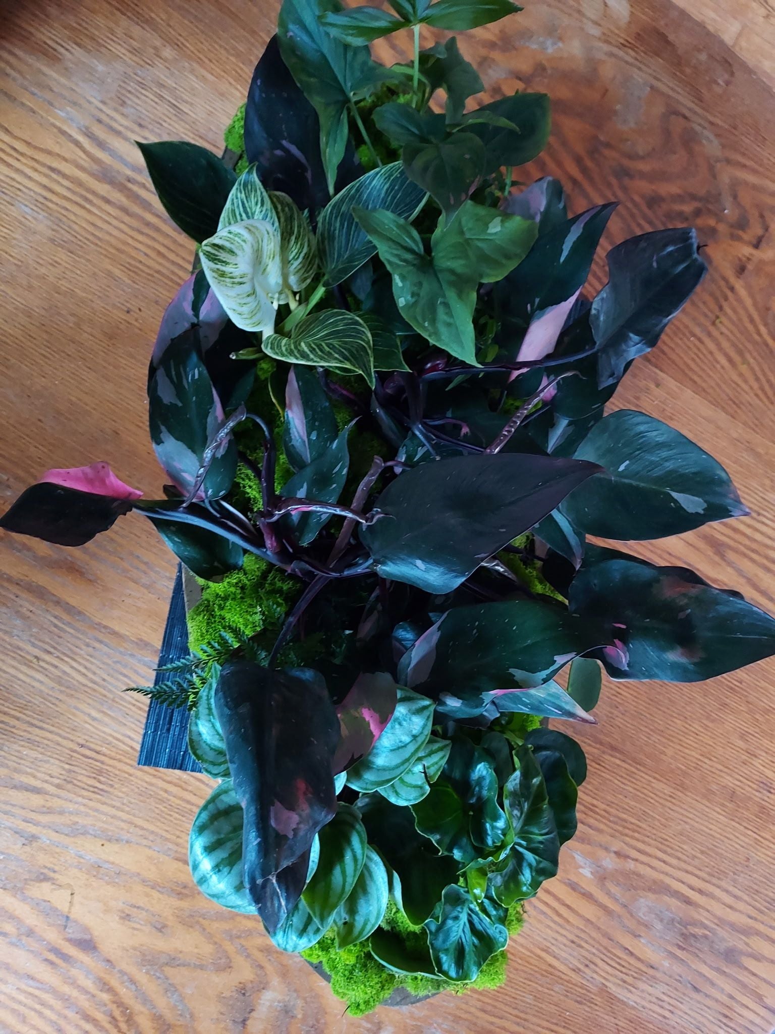 Living Centerpiece