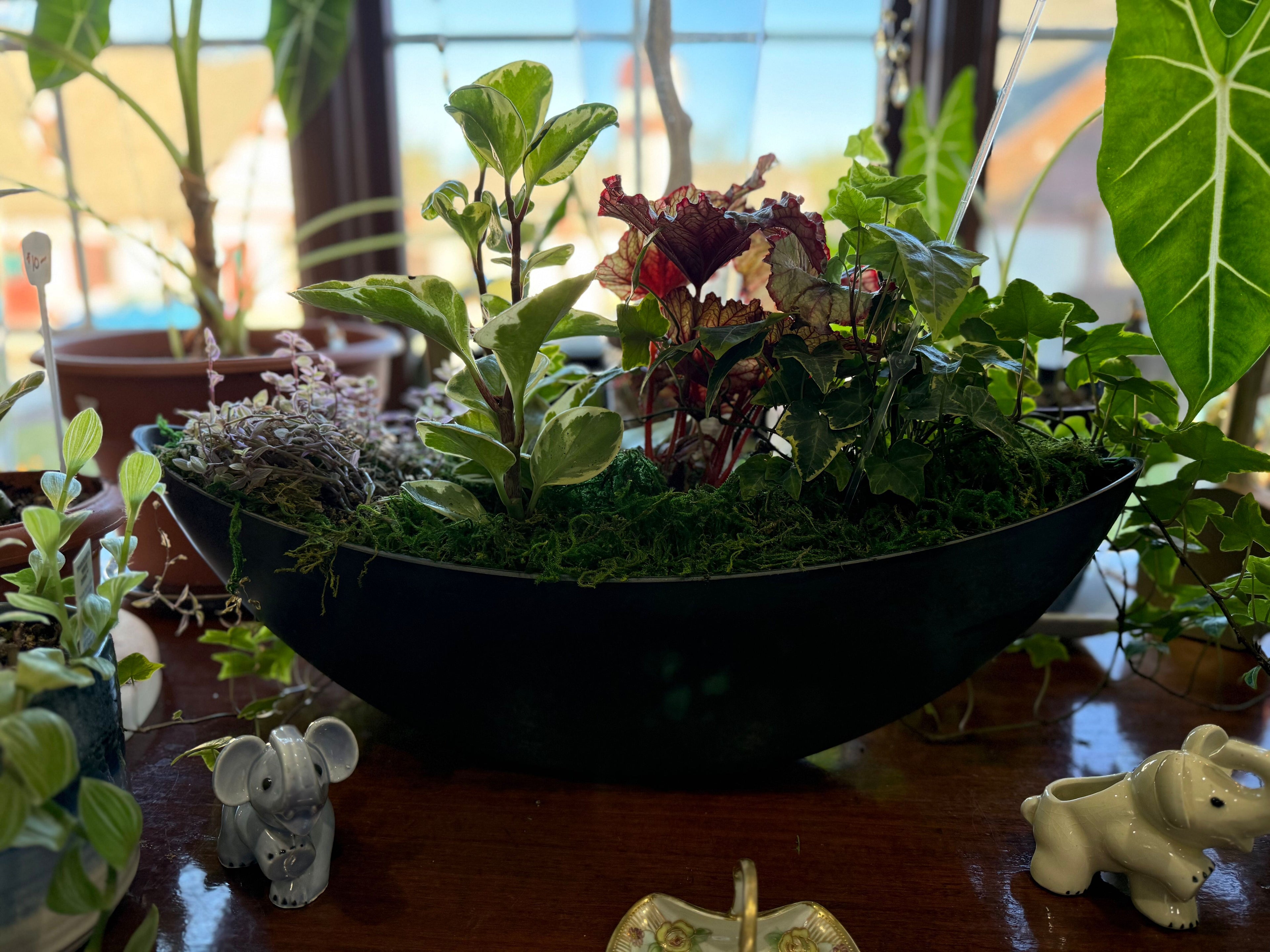 Living Centerpiece